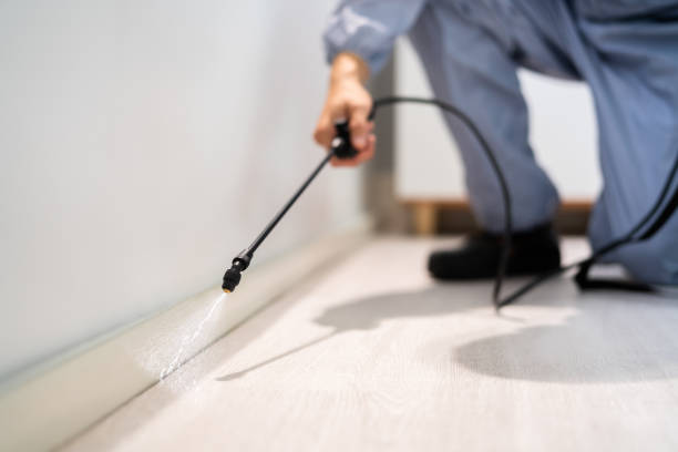 Certified termite inspector examining foundation in Perkins